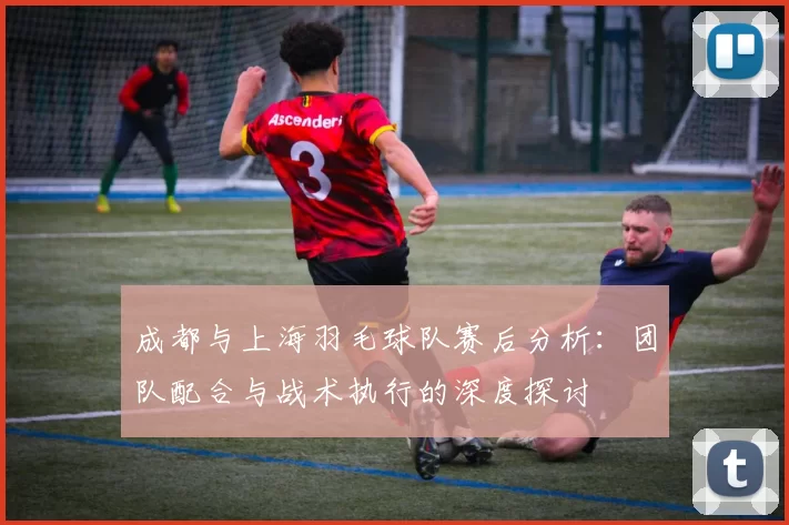 成都与上海羽毛球队赛后分析：团队配合与战术执行的深度探讨