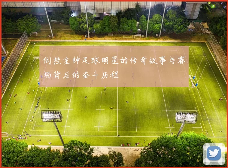 倒挂金钟足球明星的传奇故事与赛场背后的奋斗历程
