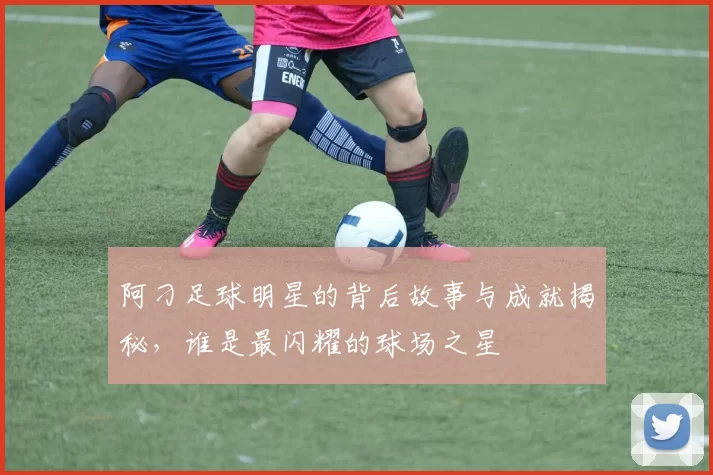阿刁足球明星的背后故事与成就揭秘，谁是最闪耀的球场之星