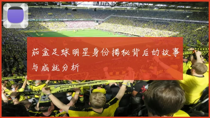 茄盒足球明星身份揭秘背后的故事与成就分析