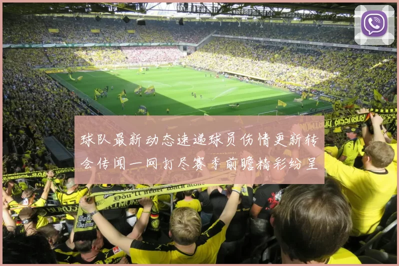球队最新动态速递球员伤情更新转会传闻一网打尽赛季前瞻精彩纷呈