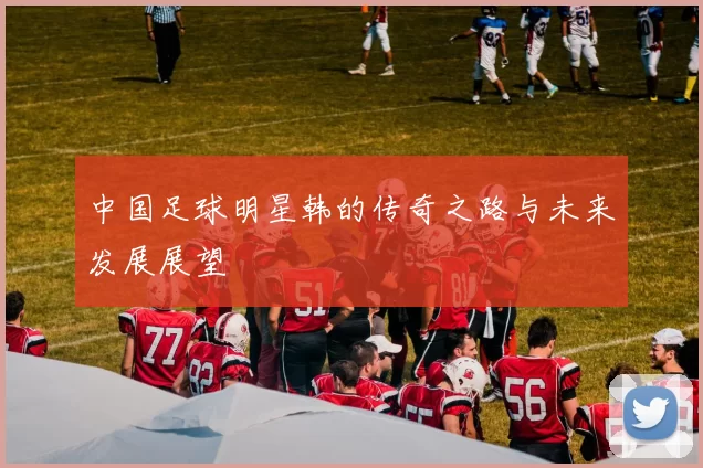 中国足球明星韩的传奇之路与未来发展展望