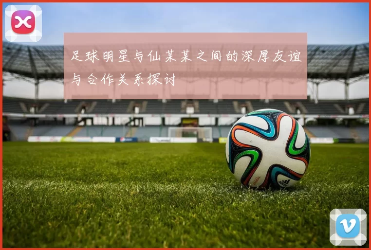 足球明星与仙某某之间的深厚友谊与合作关系探讨