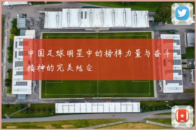 中国足球明星中的榜样力量与奋斗精神的完美结合
