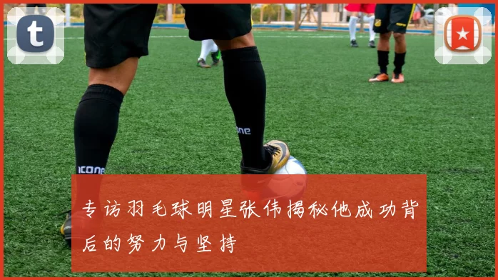 专访羽毛球明星张伟揭秘他成功背后的努力与坚持
