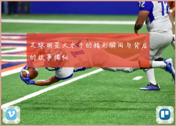 足球明星大水牛的精彩瞬间与背后的故事揭秘