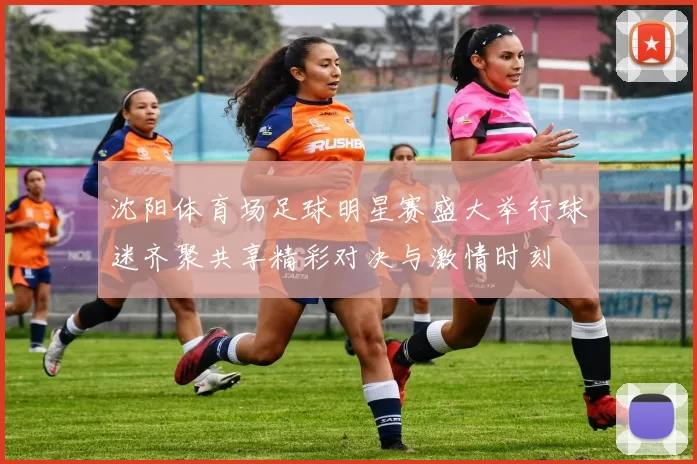 沈阳体育场足球明星赛盛大举行球迷齐聚共享精彩对决与激情时刻