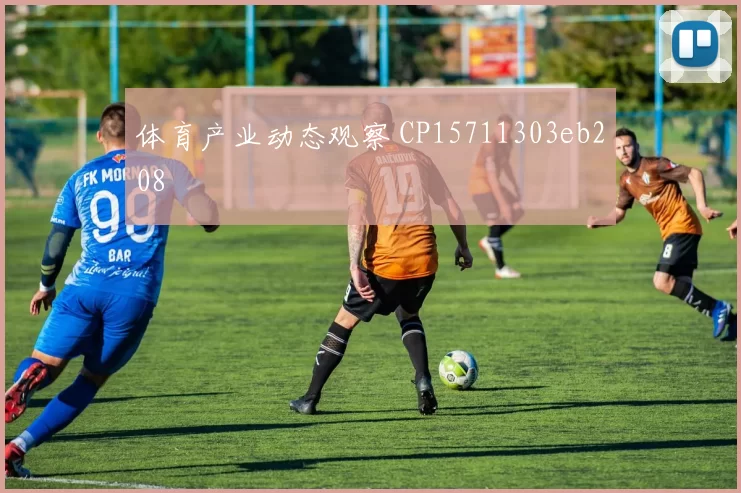 体育产业动态观察 CP15711303eb208