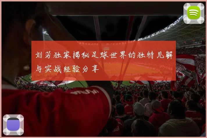 刘芳独家揭秘足球世界的独特见解与实战经验分享
