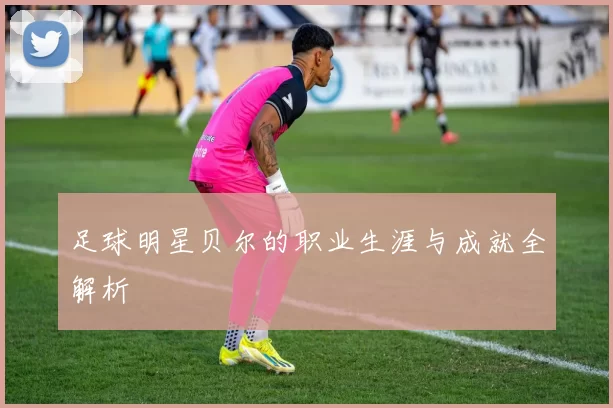 足球明星贝尔的职业生涯与成就全解析