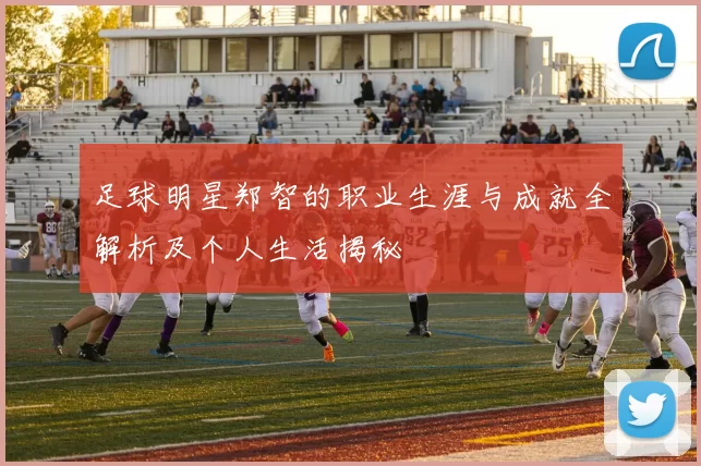 足球明星郑智的职业生涯与成就全解析及个人生活揭秘