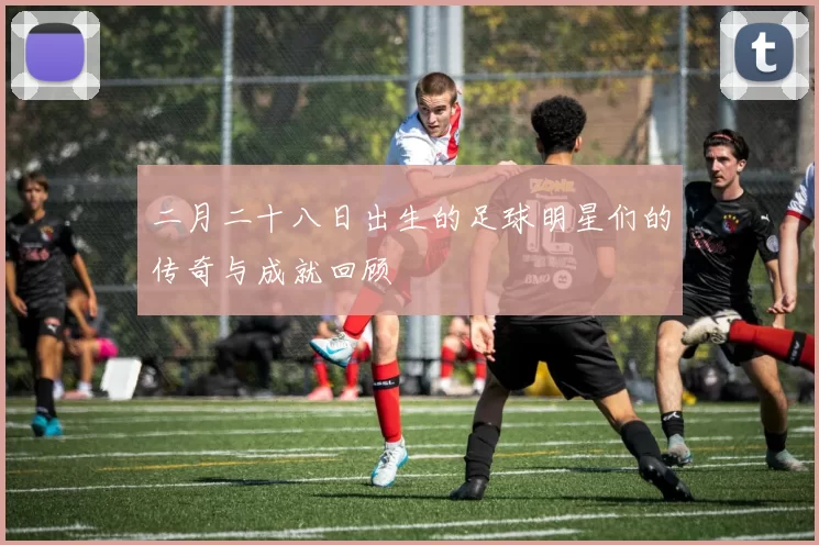 二月二十八日出生的足球明星们的传奇与成就回顾
