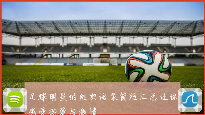 足球明星的经典语录简短汇总让你感受热爱与激情