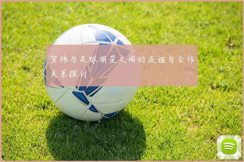 贺炜与足球明星之间的友谊与合作关系探讨