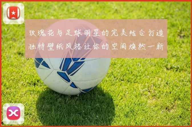 玫瑰花与足球明星的完美结合打造独特壁纸风格让你的空间焕然一新