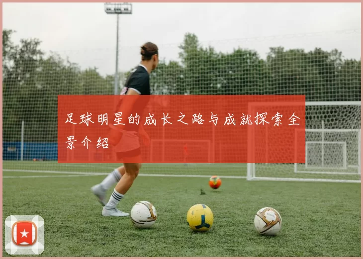 足球明星的成长之路与成就探索全景介绍