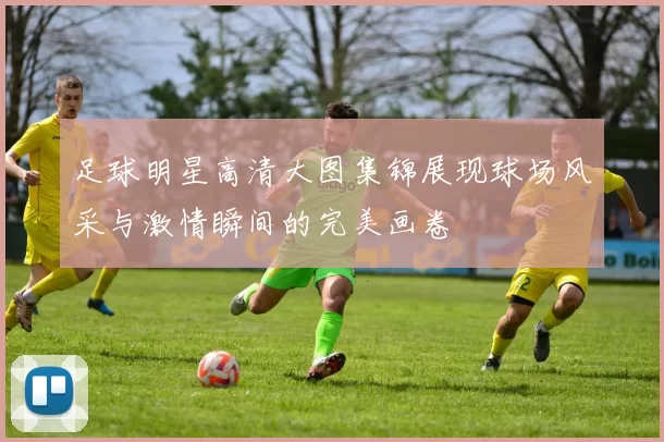 足球明星高清大图集锦展现球场风采与激情瞬间的完美画卷